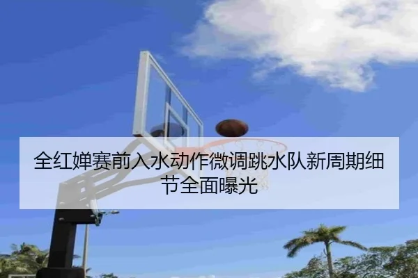 全红婵赛前入水动作微调跳水队新周期细节全面曝光